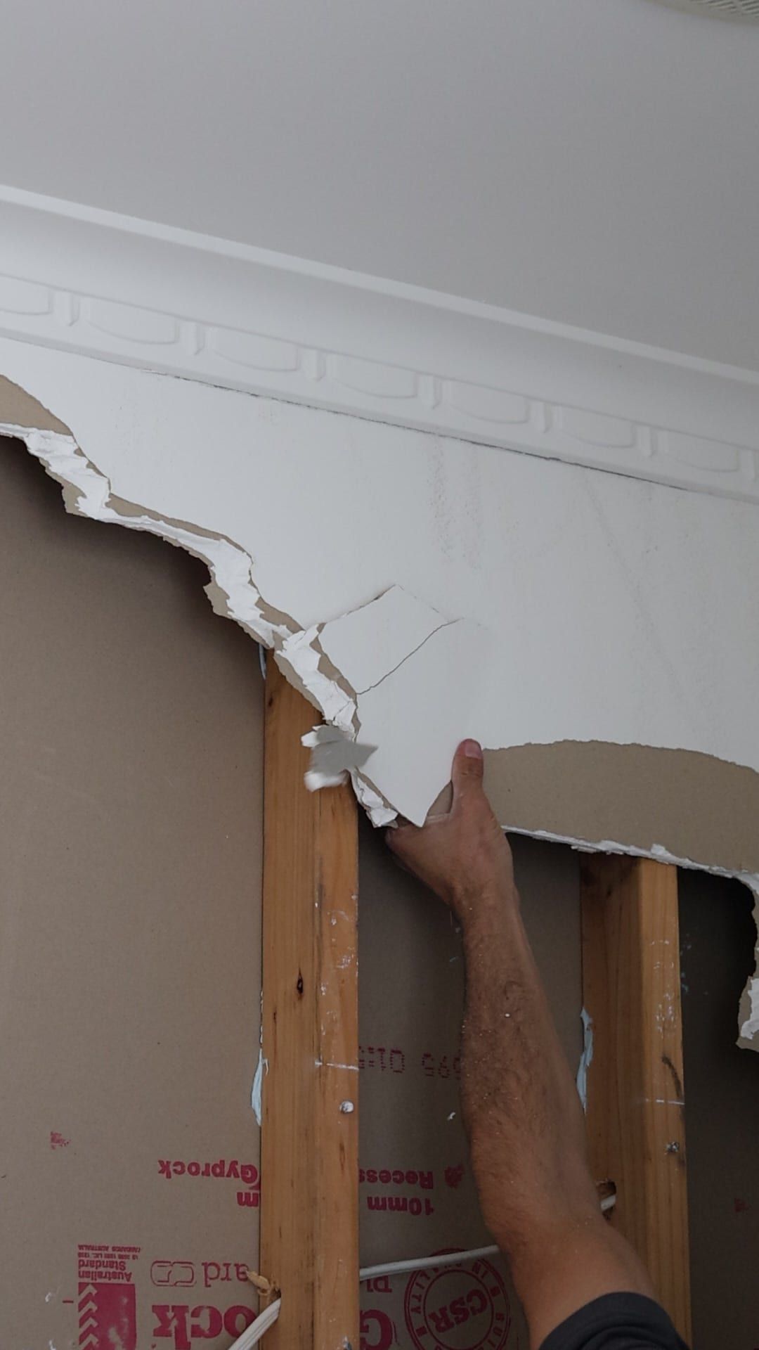 A decorative period plaster cornice with the wall lining peeled back below it